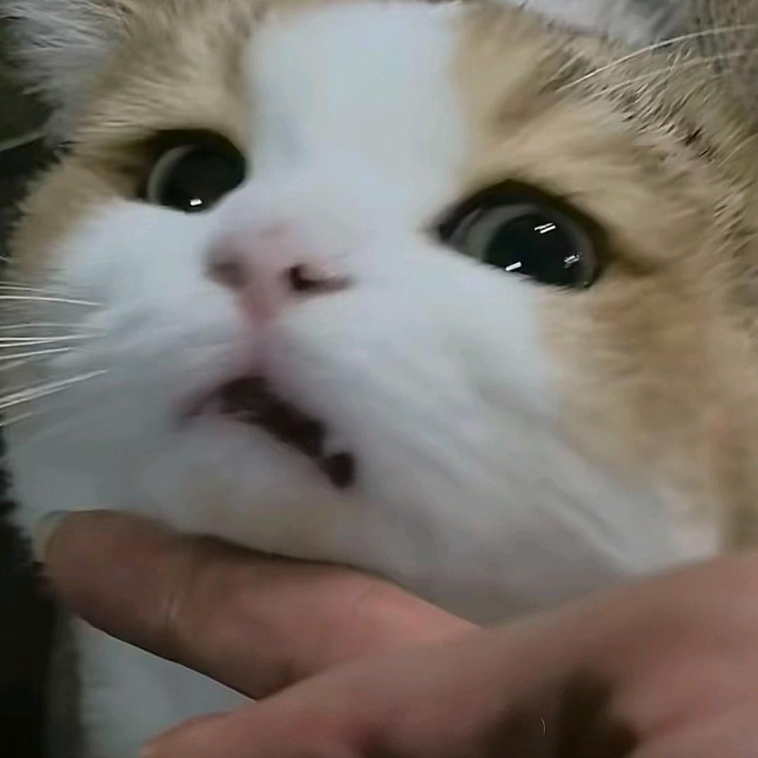 可口可乐丶
