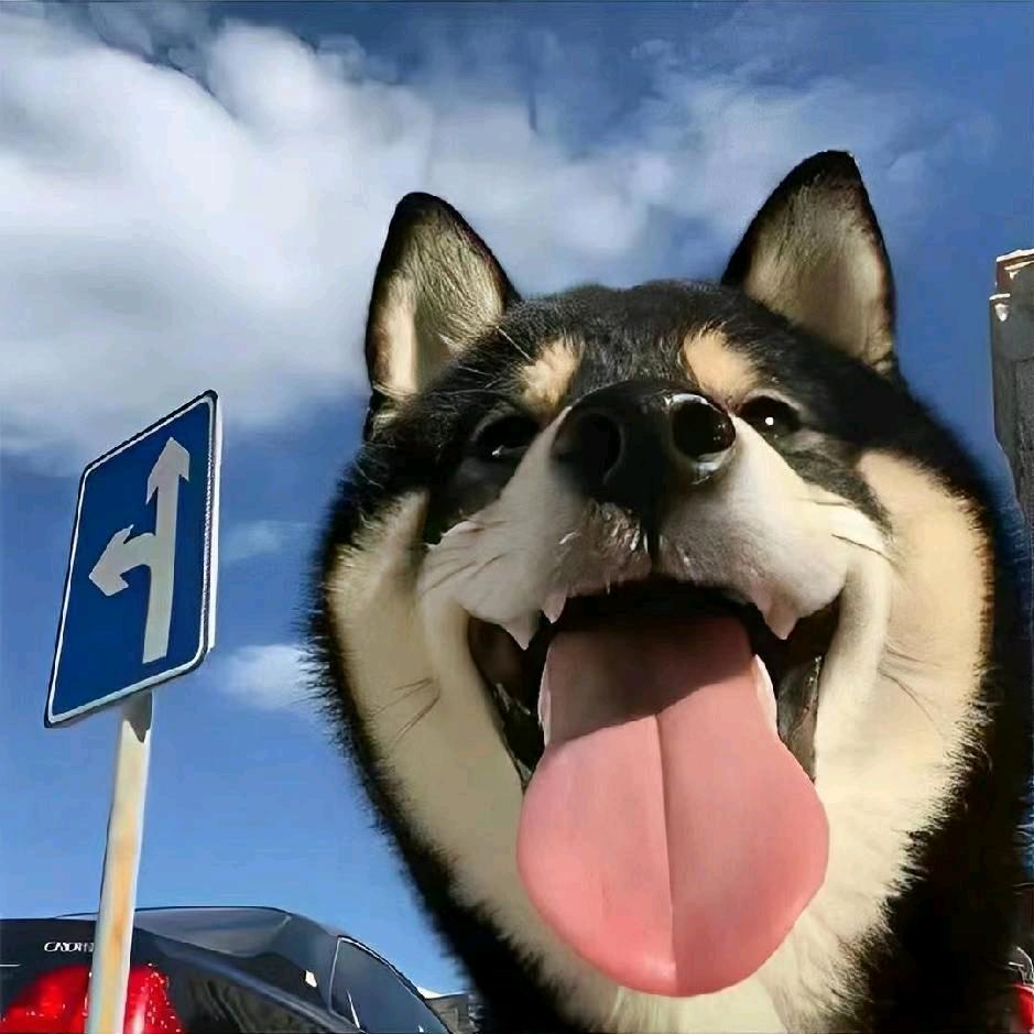 散落漫天回忆的碎片