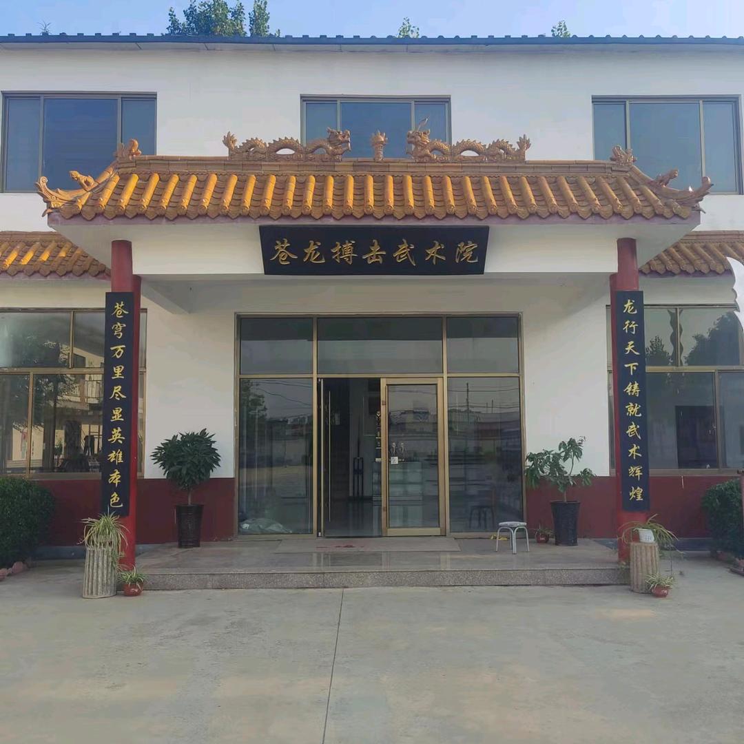 苍龙搏击