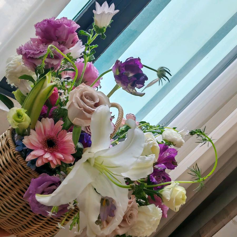 茈★生♡无☆悔