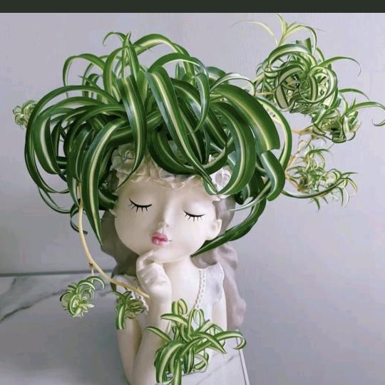 宣燃离别