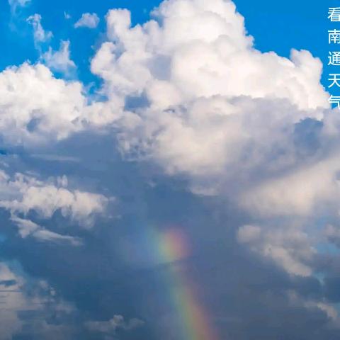淼淼