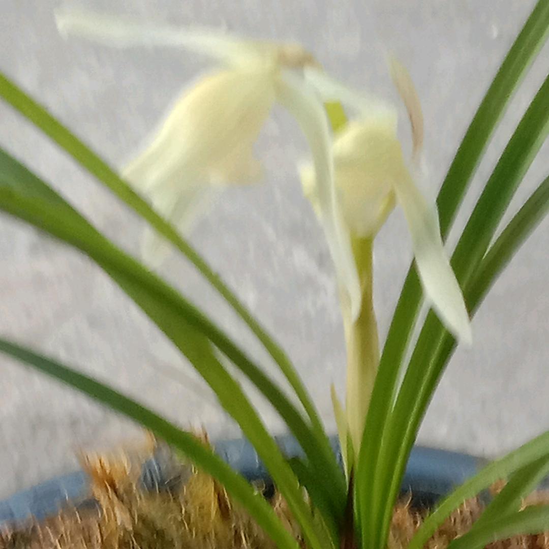 似箭财富[地摊哥]悲欢者