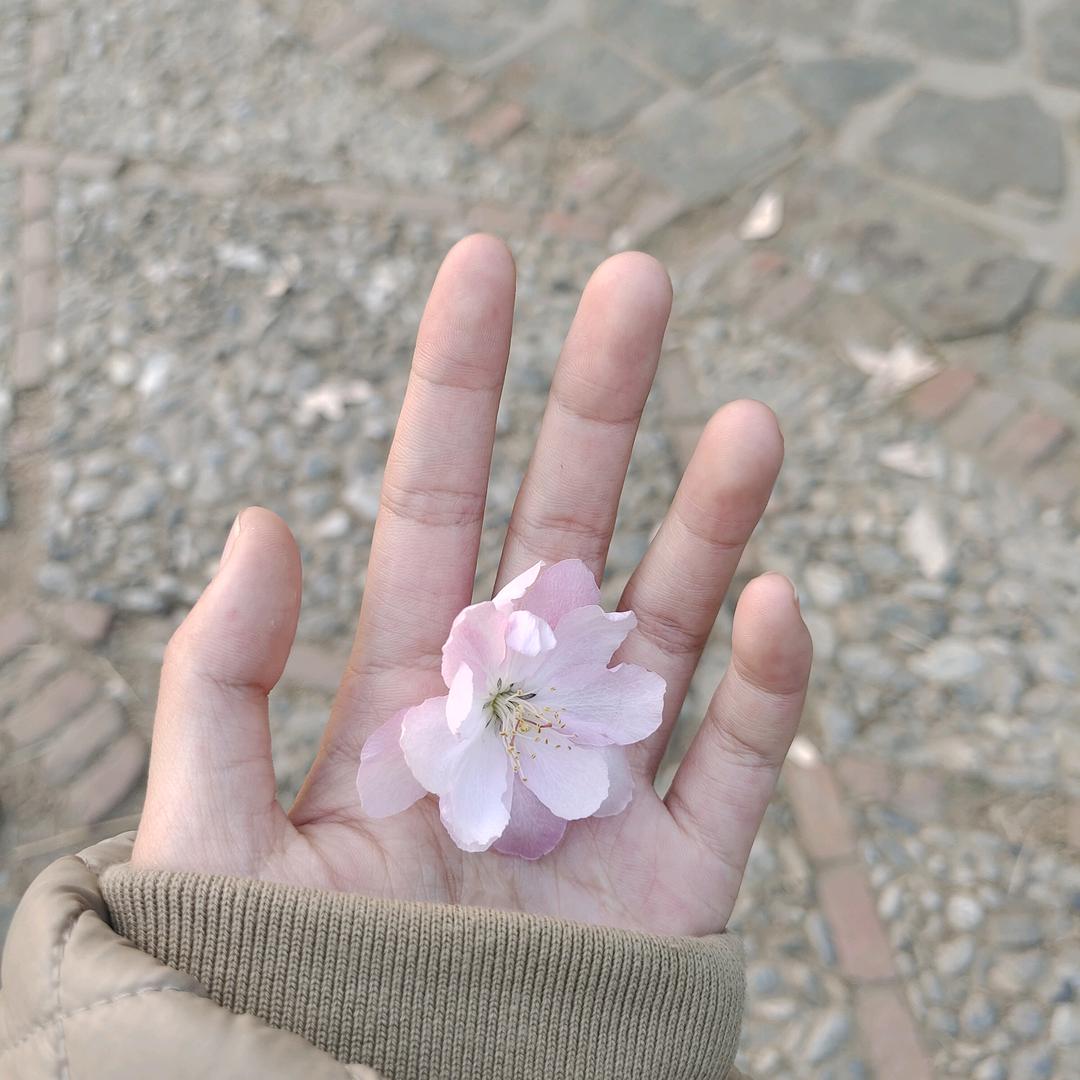 韩小姐💋