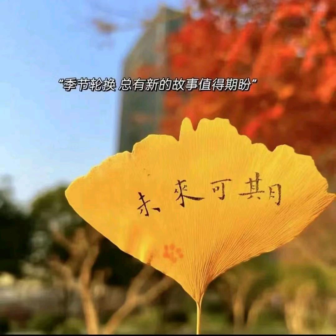 一生缘分💓