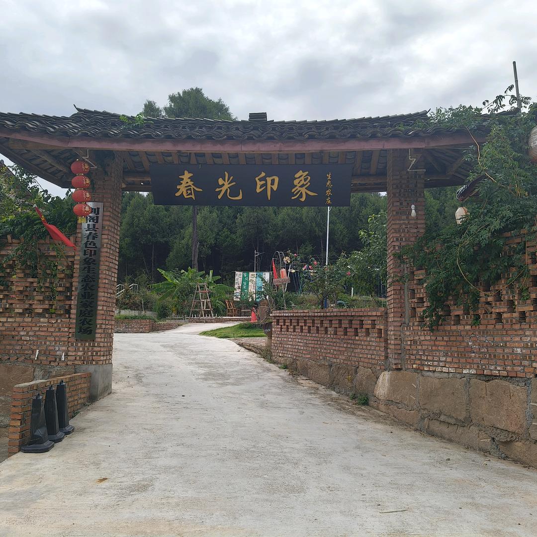 春光印象    厨政下乡