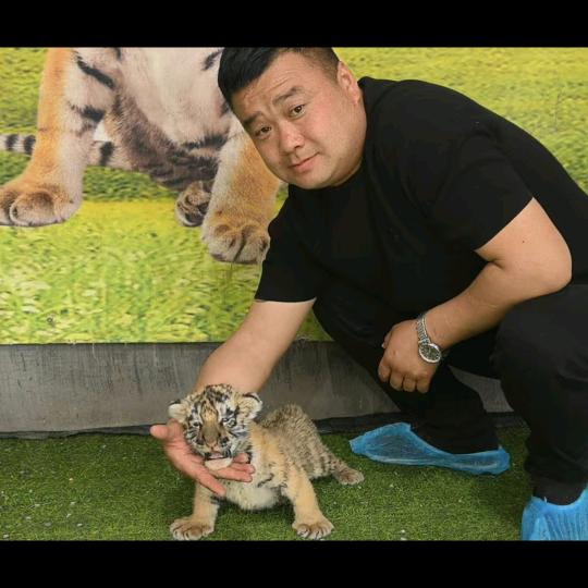 李书记