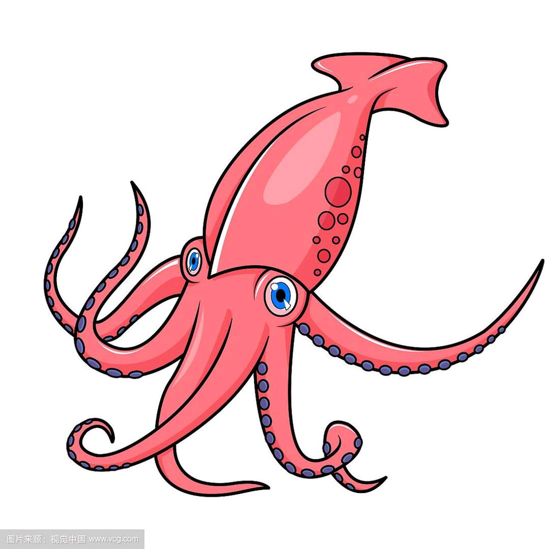 🐙酷酷的鱿鱼🐙