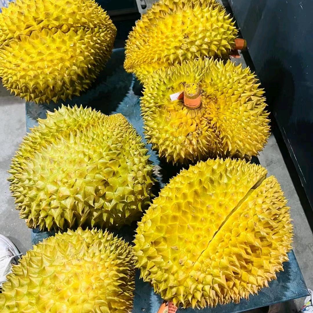潍坊市榴莲