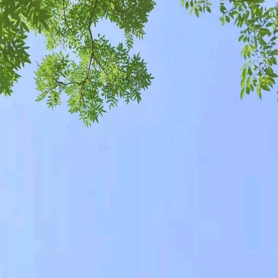 风声水起