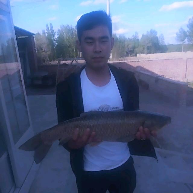 小元
