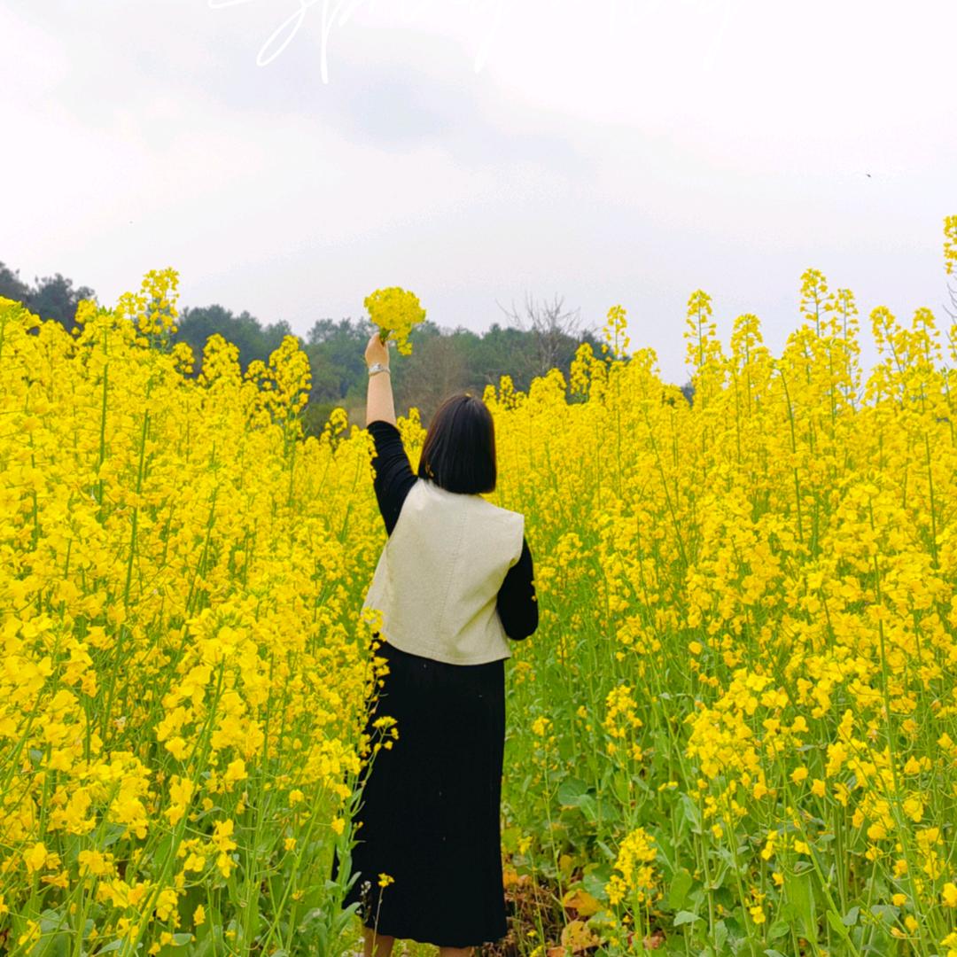🍥芋泥卷 ⁺ ♡₊⋆