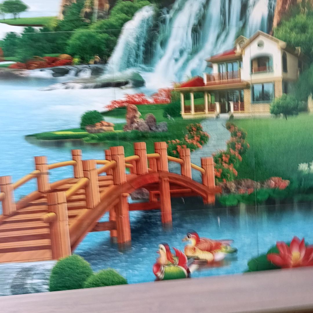 🌹🌹雪莲花🌹🌹💐）520