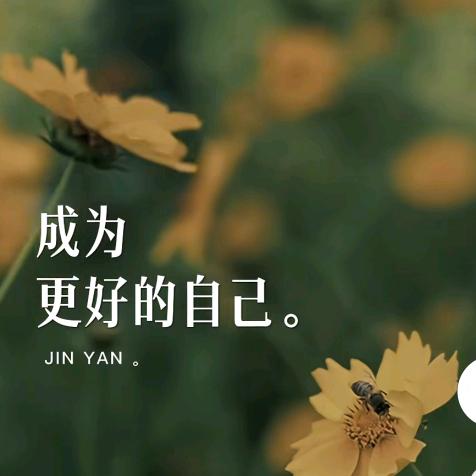 嘉行⭐（已上岸）