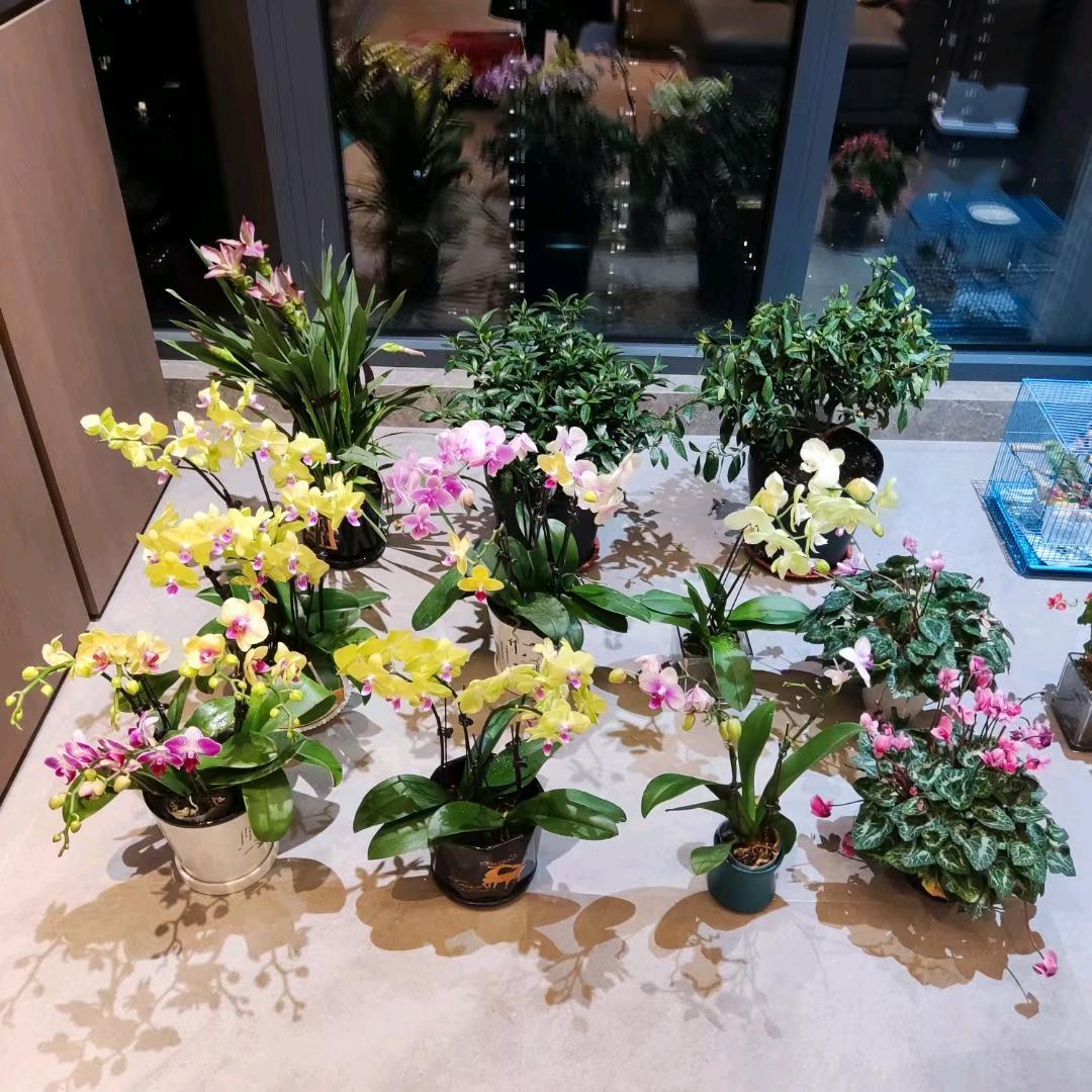 婷