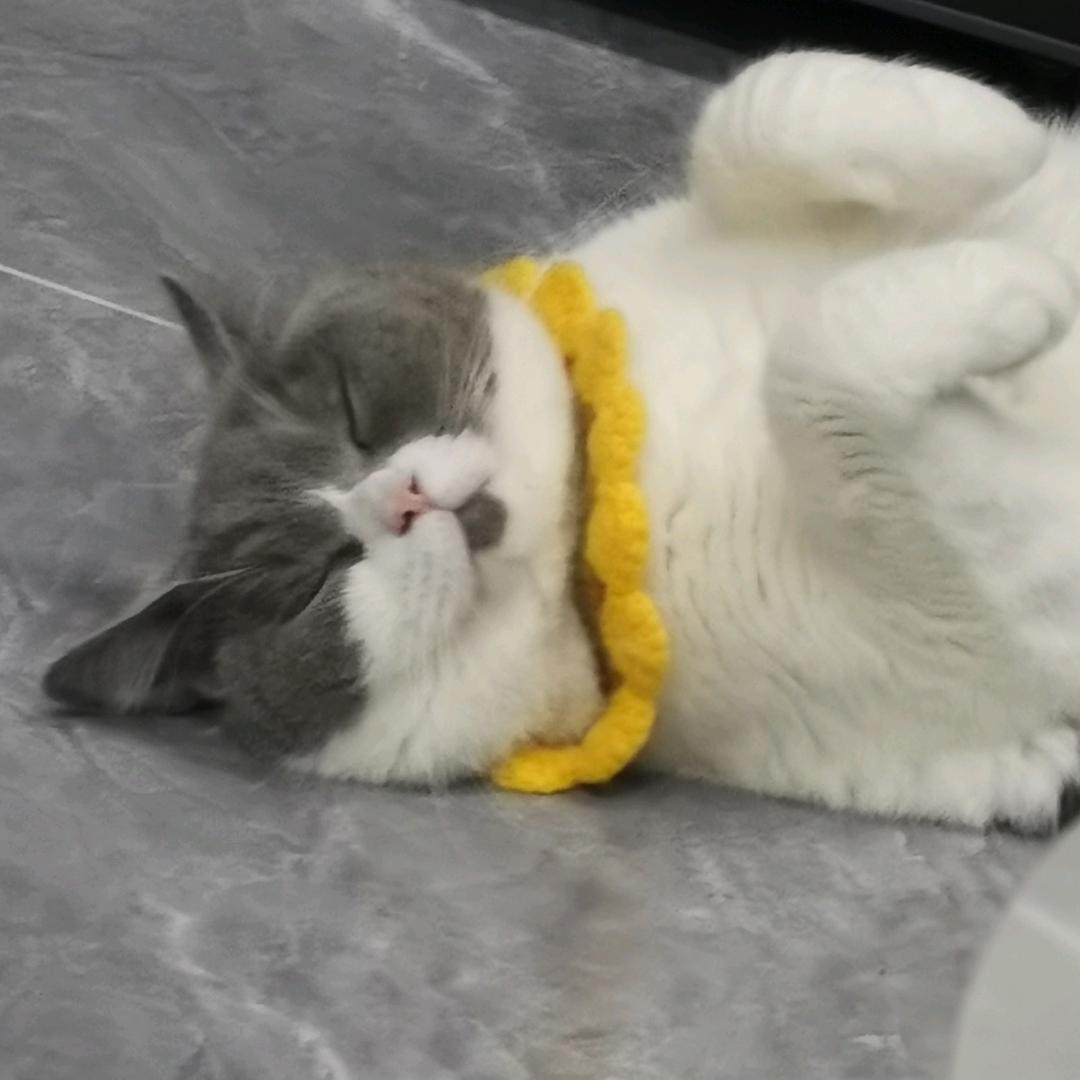@没头脑