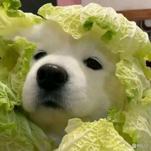 根本花不完！