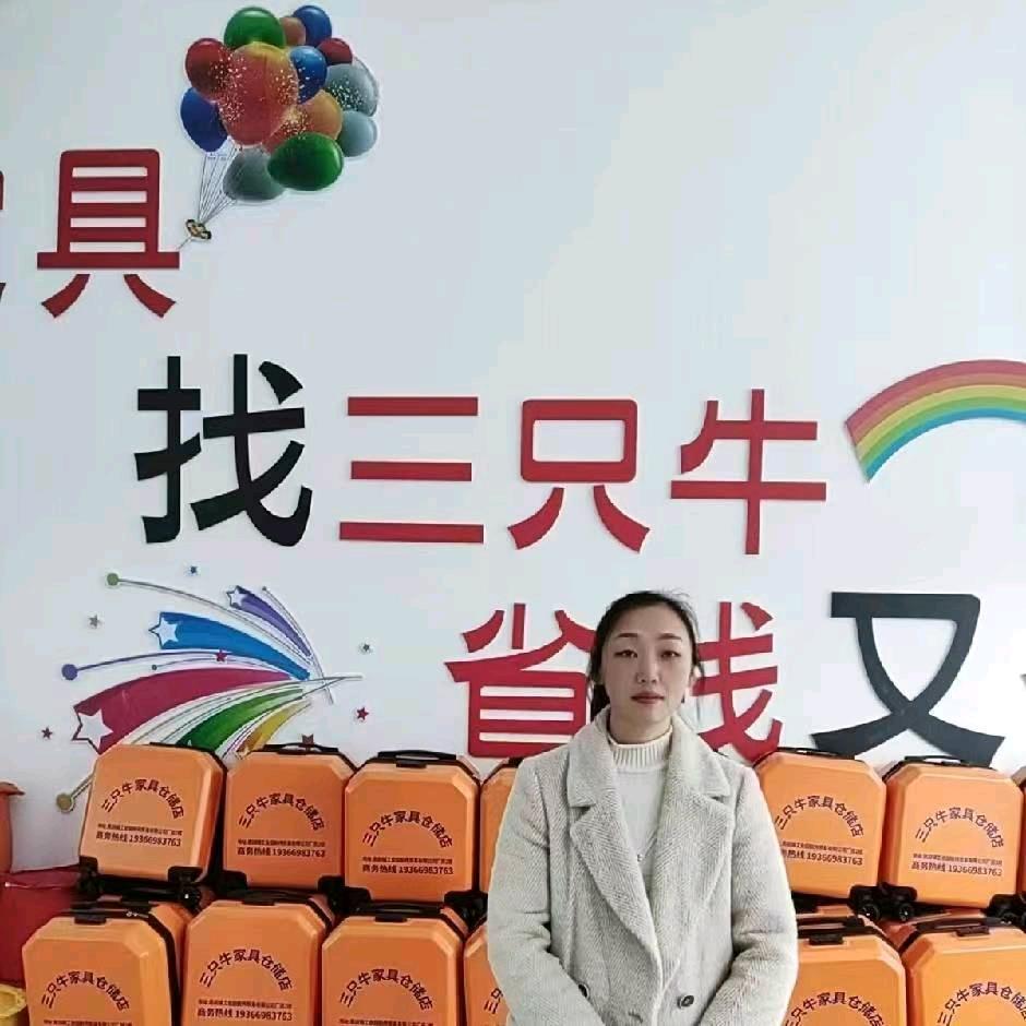 三只牛家具俊美（邵东仓储店