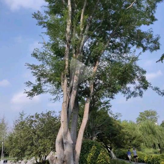 下辈子不来人间了