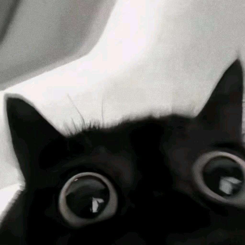 🪵