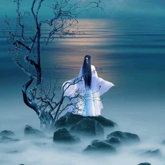 ✨月伴倩影🌙