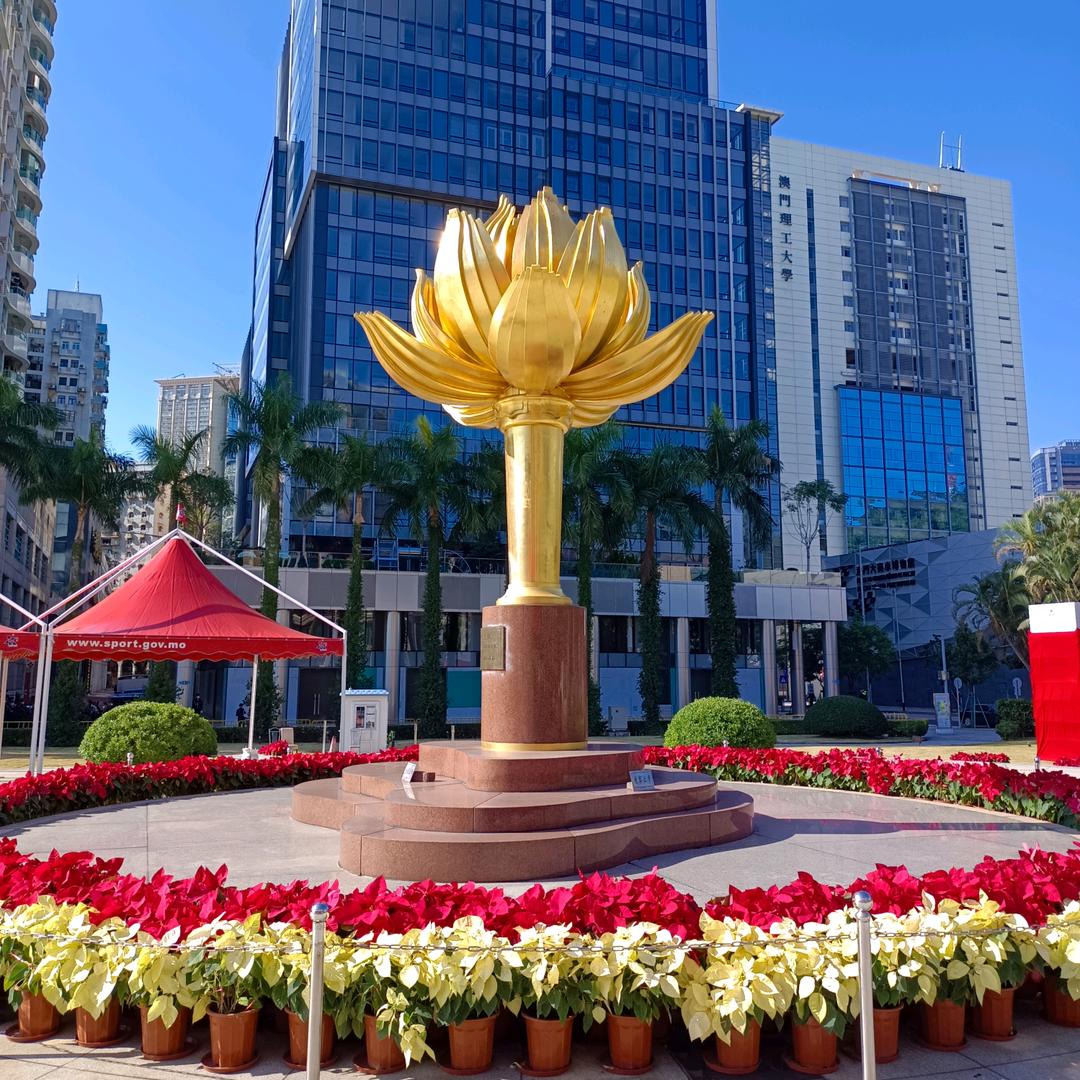 澳门🇲🇴金水