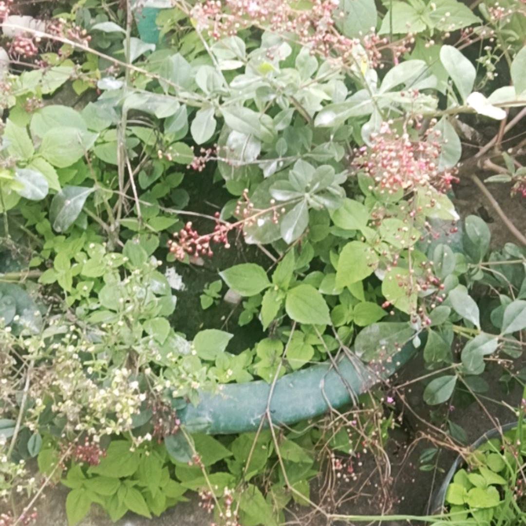 找个爱你的人好难