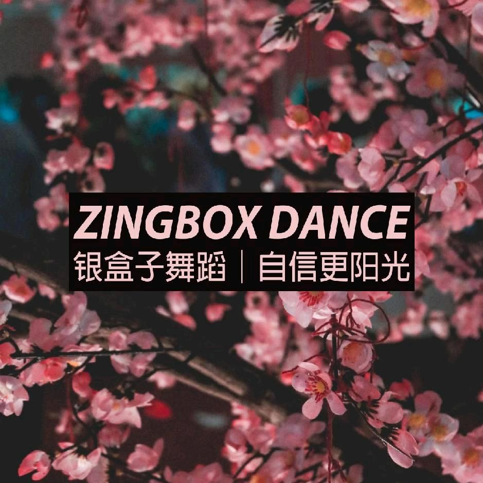 银盒子舞蹈