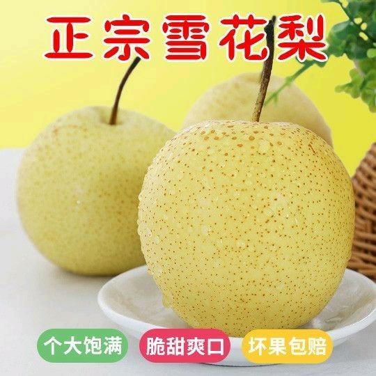 水果鸭梨雪花梨各种梨子