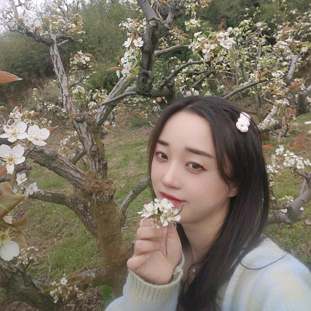 xy_xiaoyi