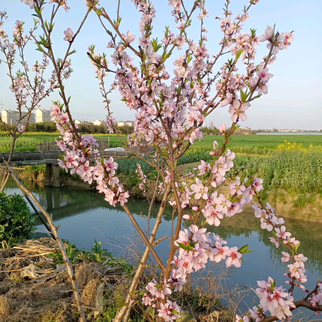 等待
