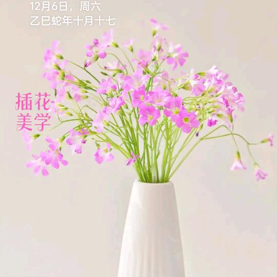 香村秀姐河南商丘创业直播间