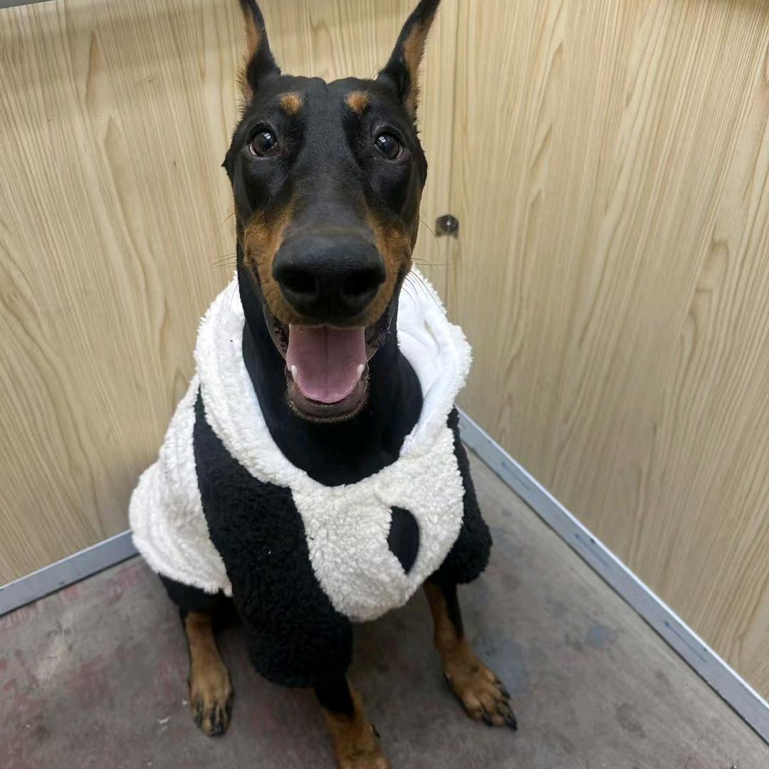 图图不涂涂（探索s16中）