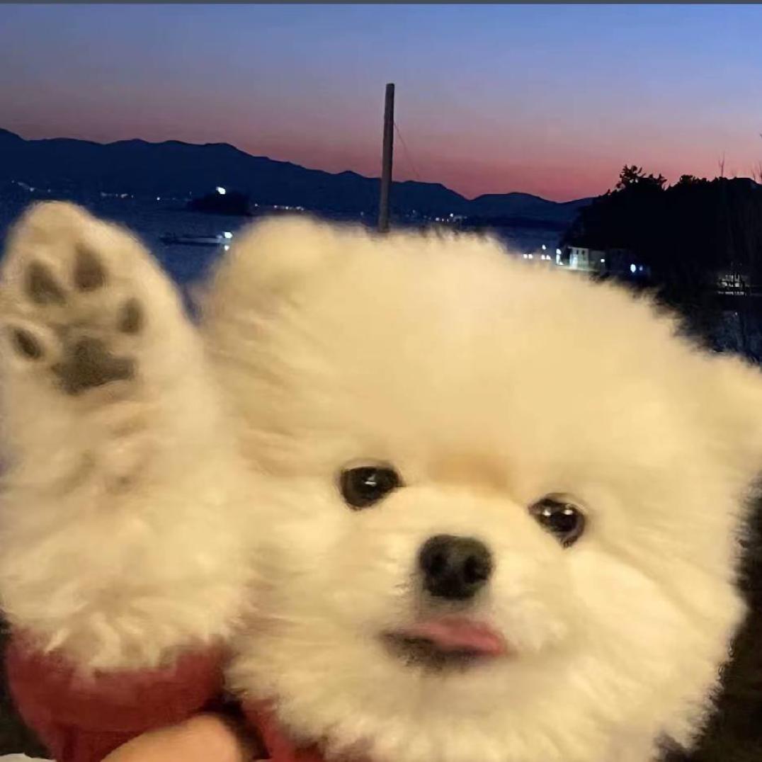 哟O