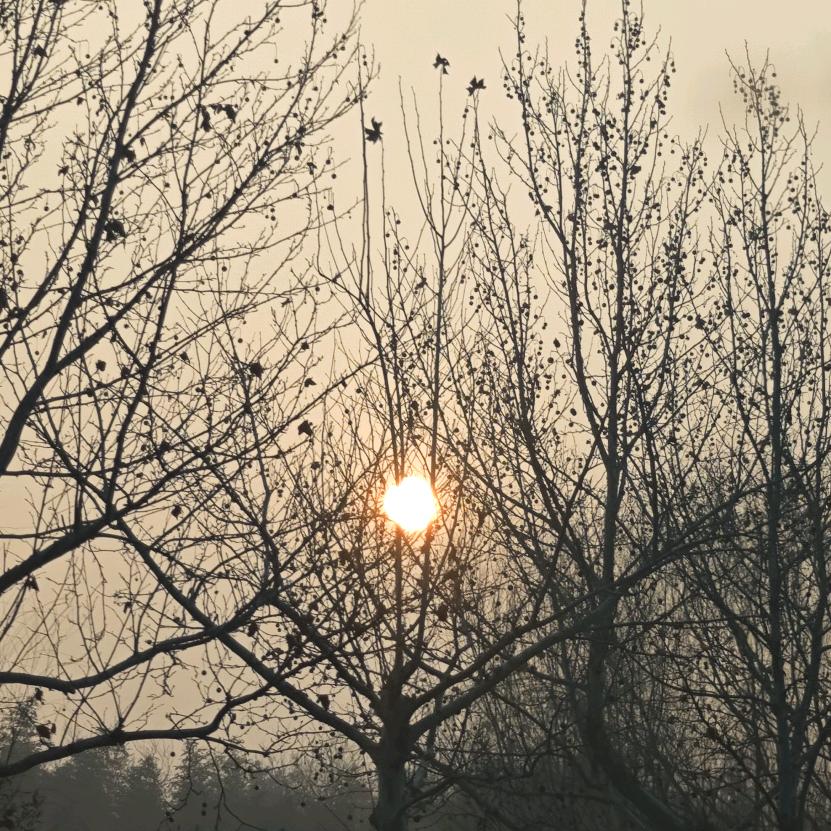 收藏协会-牛秘书