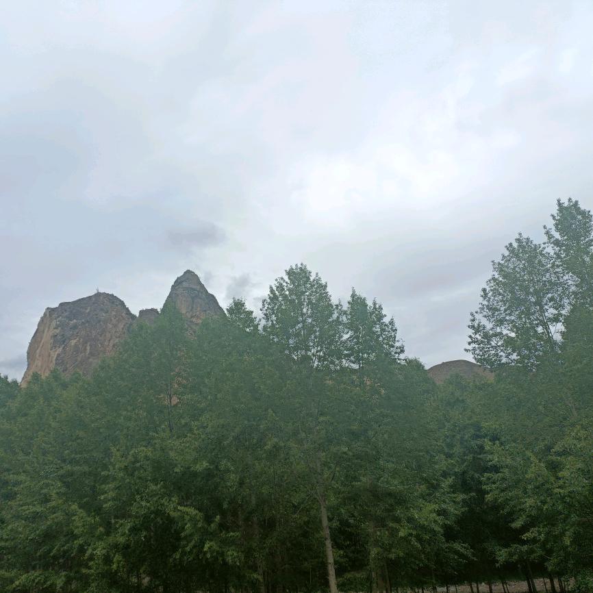 ^_^@一个达不刘@^_