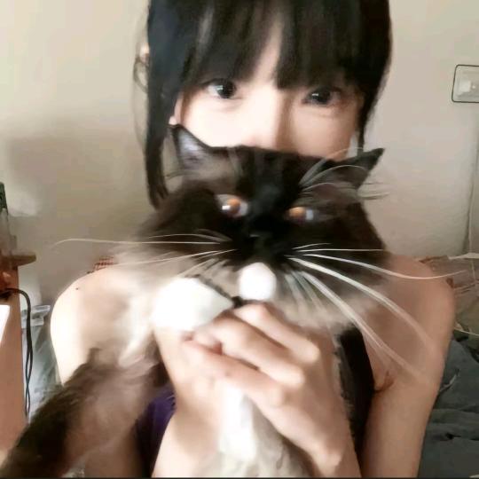 布拿拿