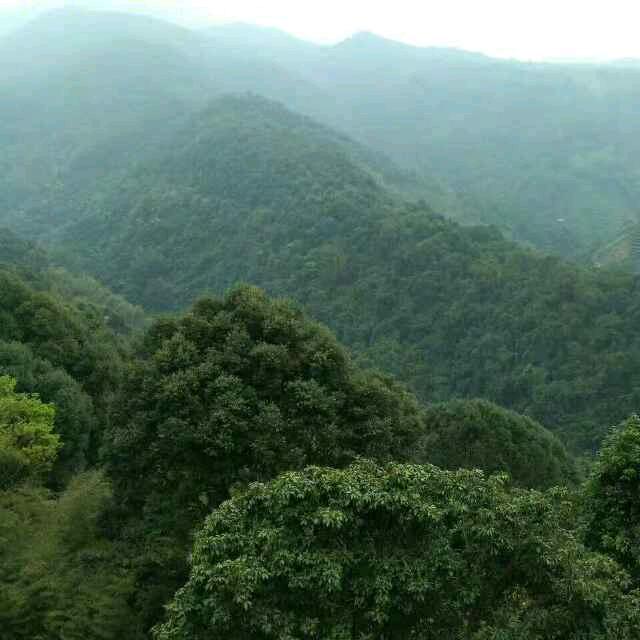 易水