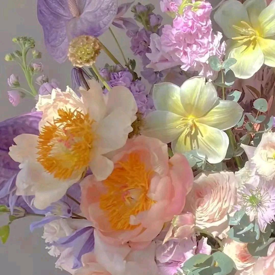 ♡花花♡
