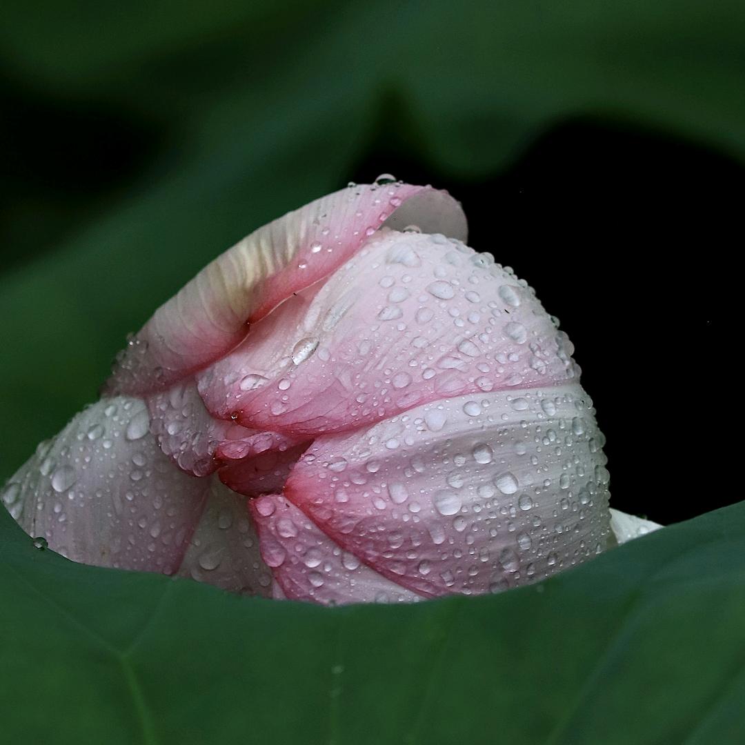 邹二姐珍惜身边人