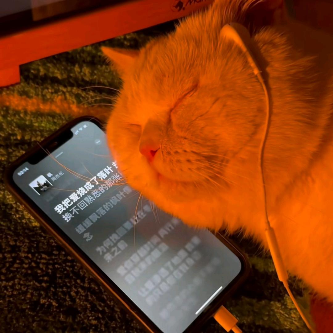 音乐CD机