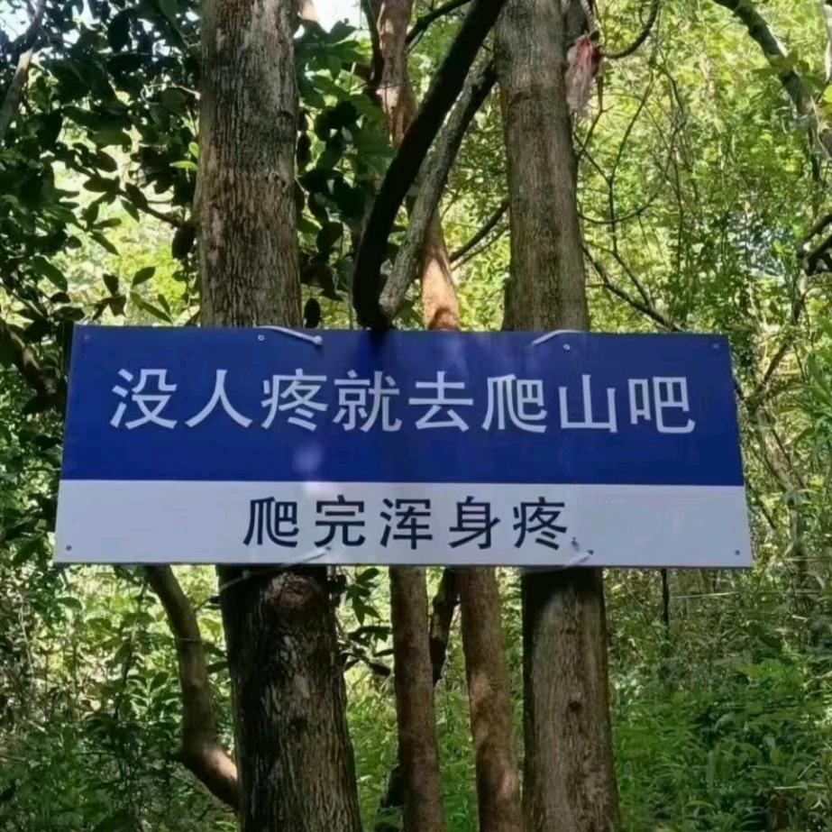 🐠🐠🎣哥只是个传说