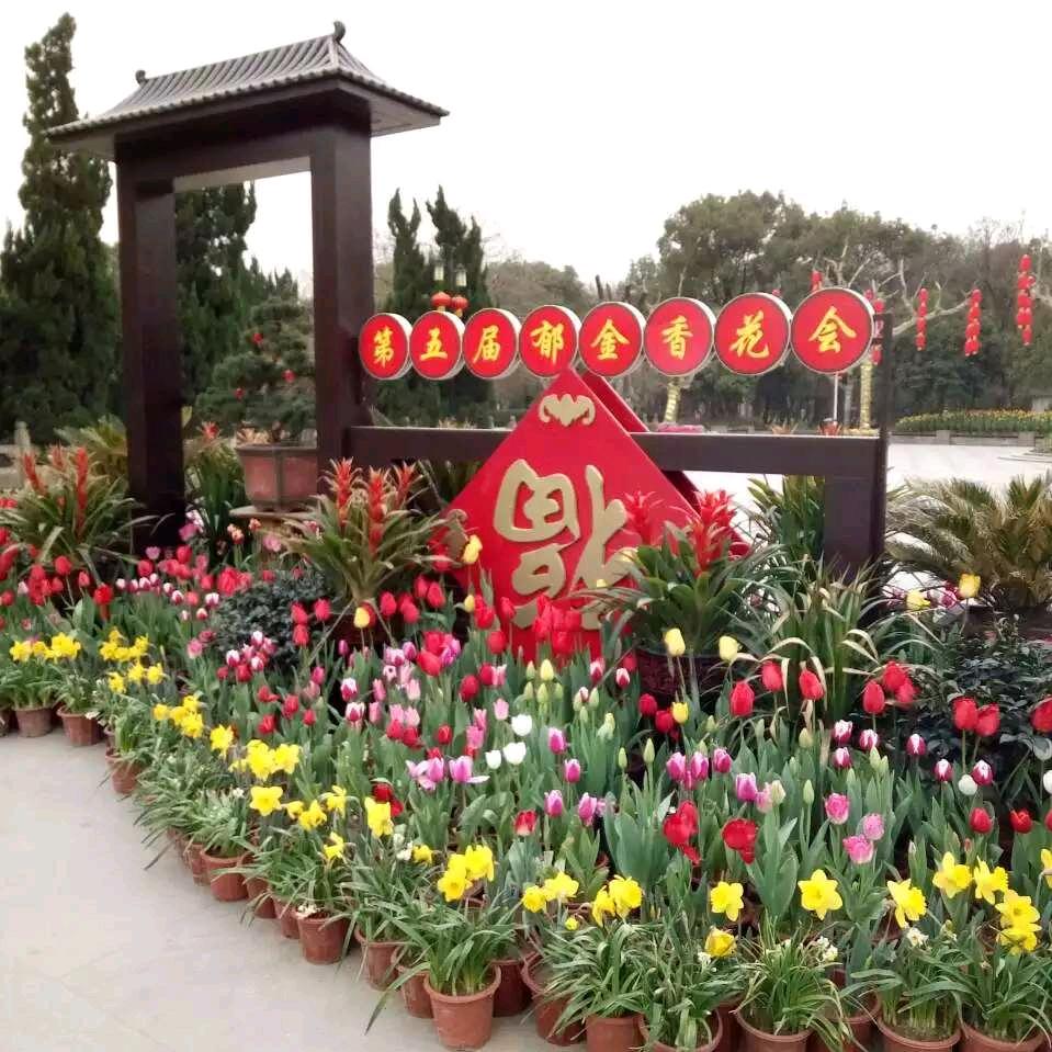 岁月如故