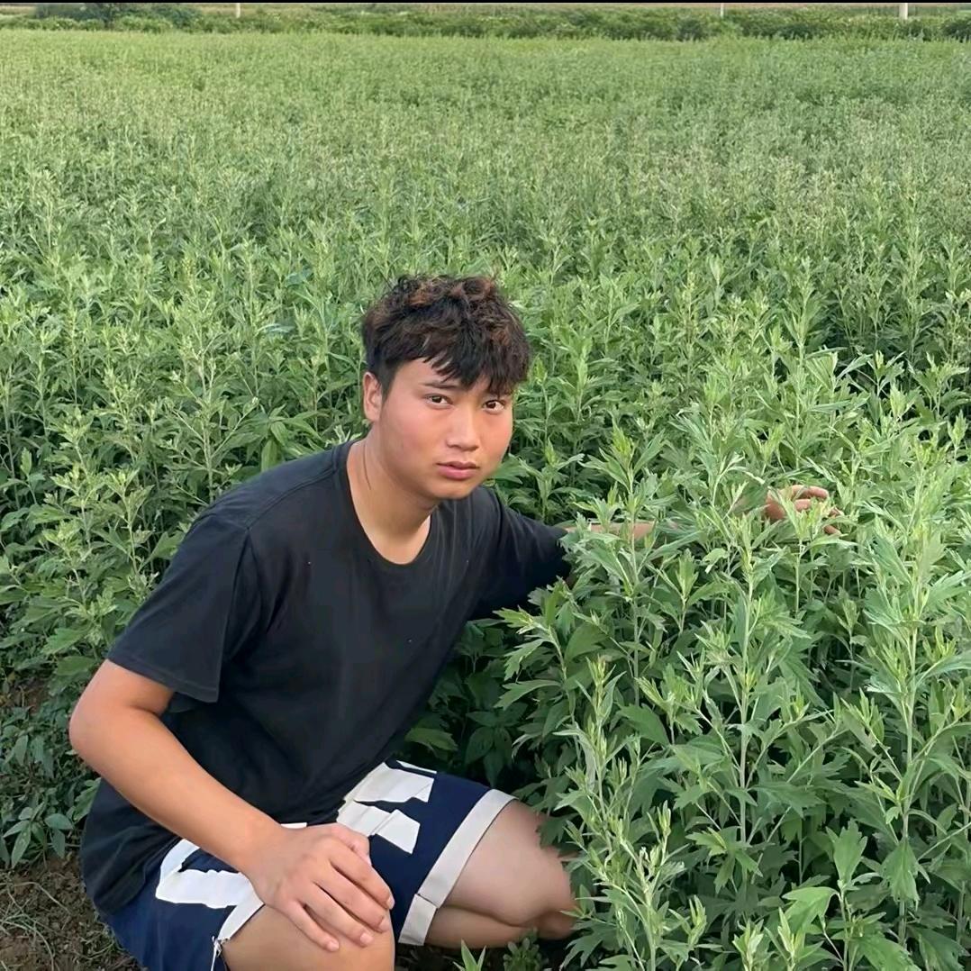 豫宛新农人小董