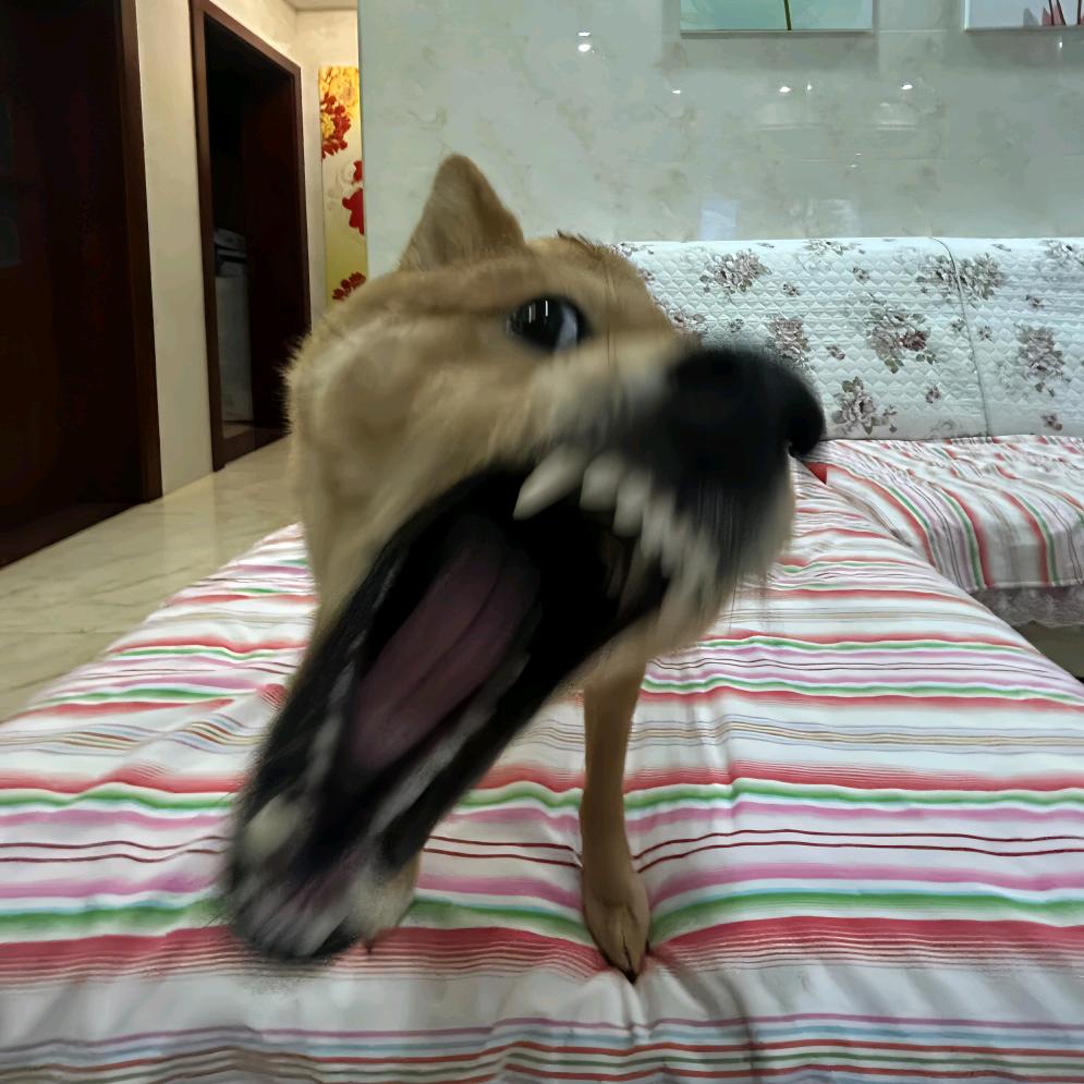 .GGG