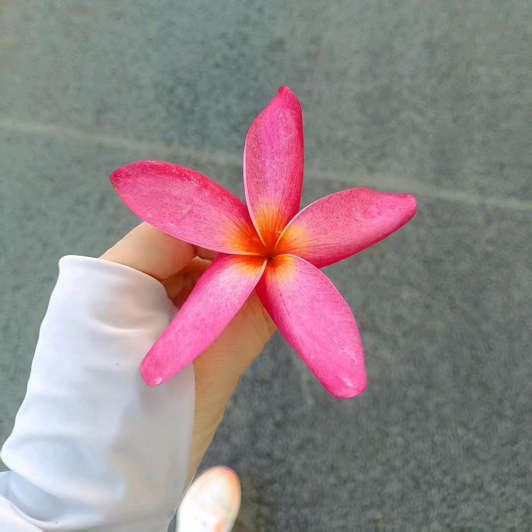 天边橘色的小卖部