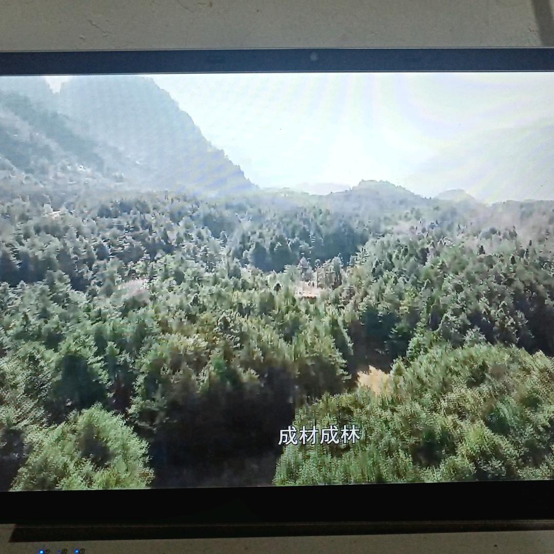 平凡岁月