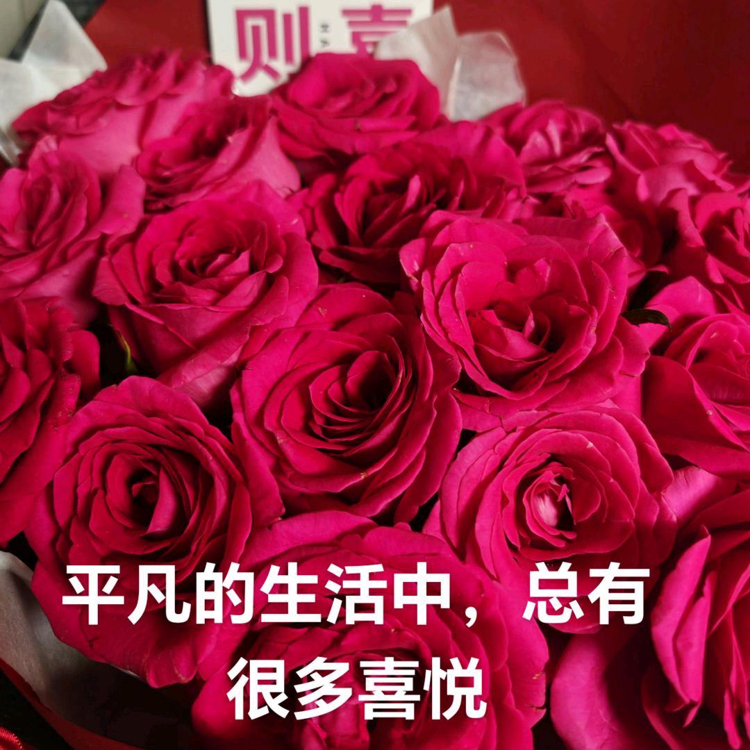 老五