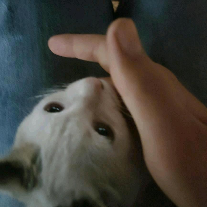 彼此守侯