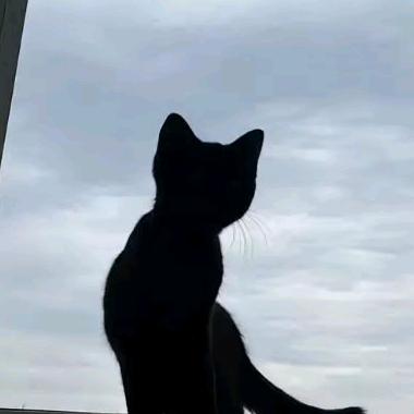 慧